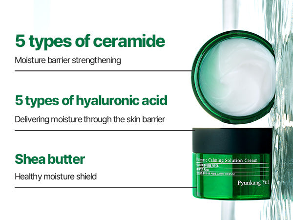 Pyunkang Yul Ultimate Calming Solution Cream